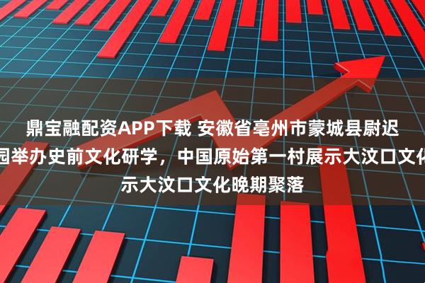 鼎宝融配资APP下载 安徽省亳州市蒙城县尉迟寺遗址公园举办史前文化研学，中国原始第一村展示大汶口文化晚期聚落